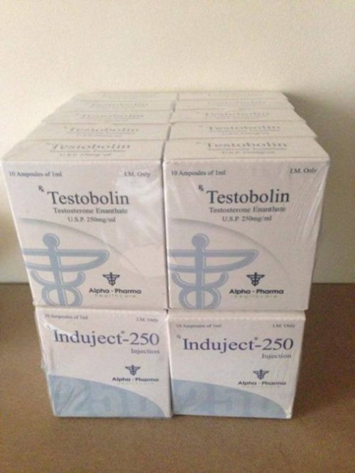Testobolin (Testosterone Enanthate)